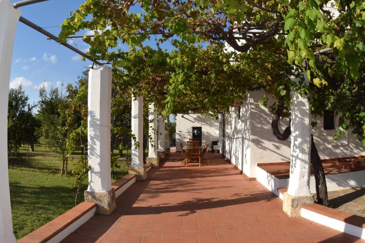 La Giara House ,Near Gallipoli Alezio Eksteriør bilde
